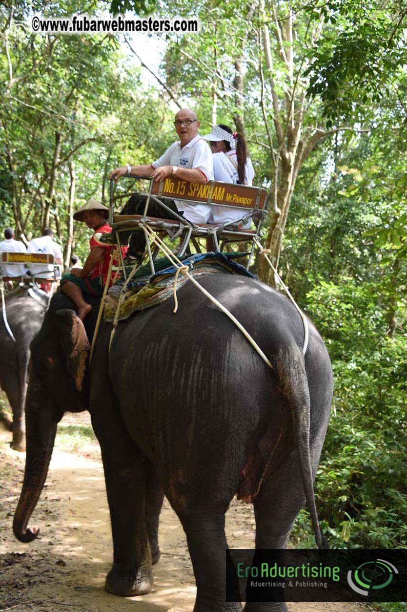 Elephant Safari 