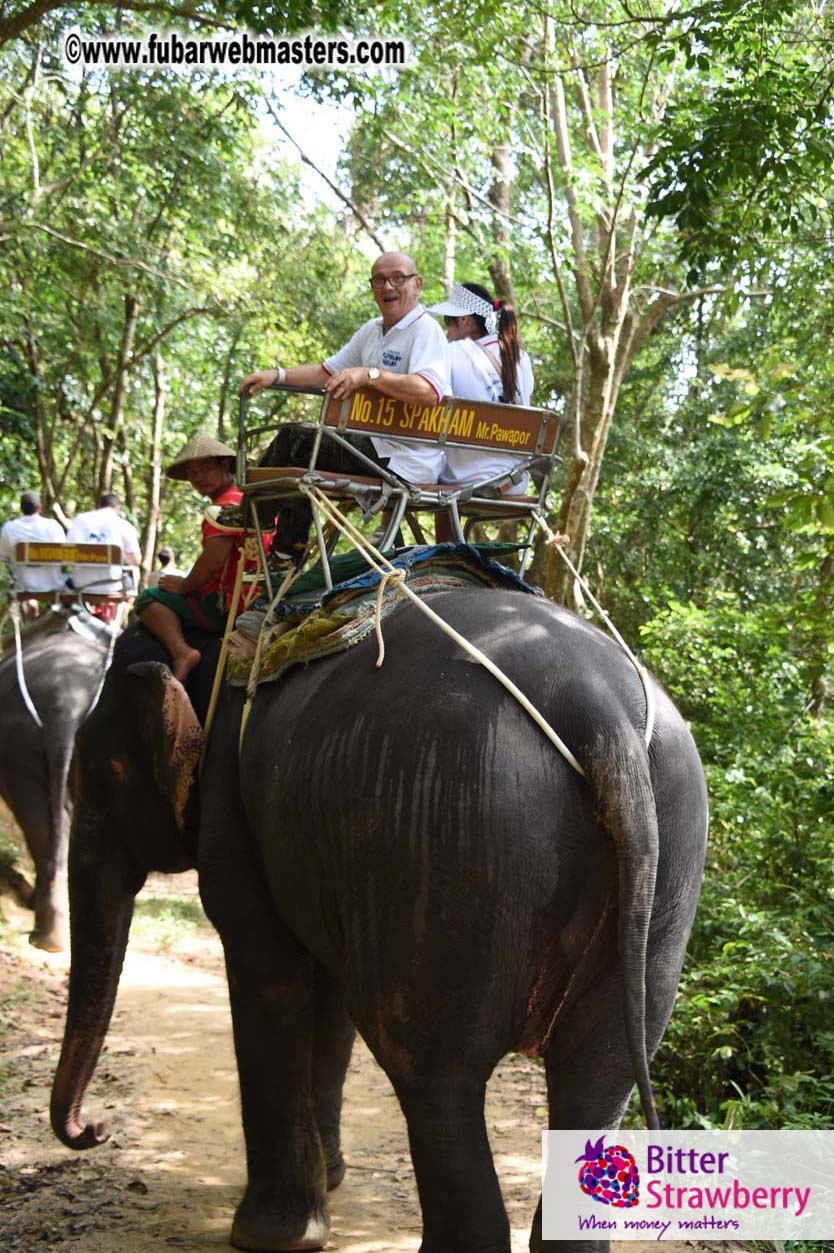 Elephant Safari 