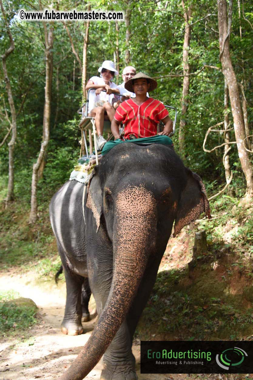 Elephant Safari 