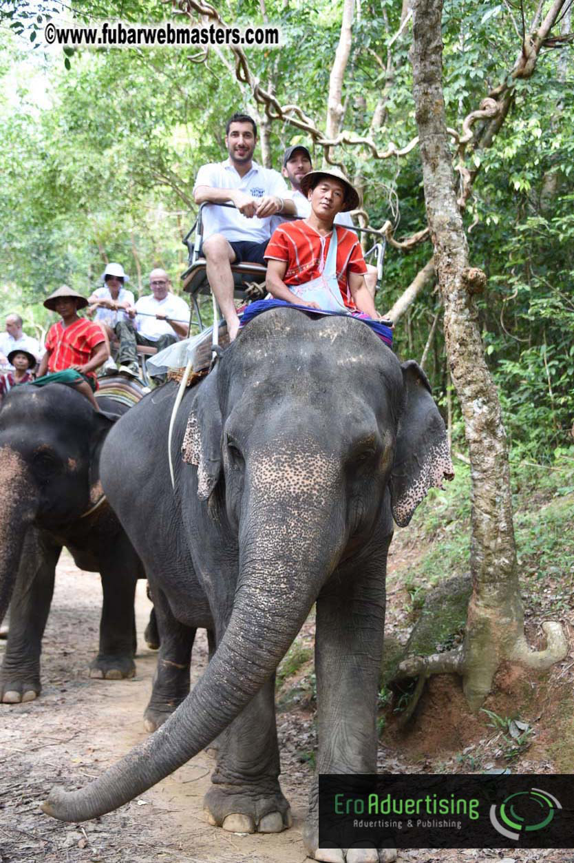 Elephant Safari 