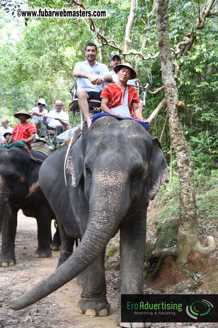 Elephant Safari 