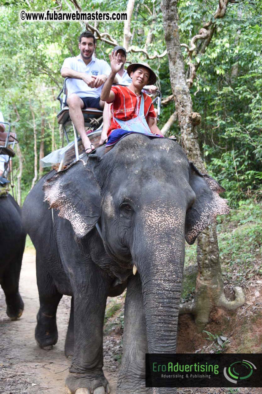 Elephant Safari 