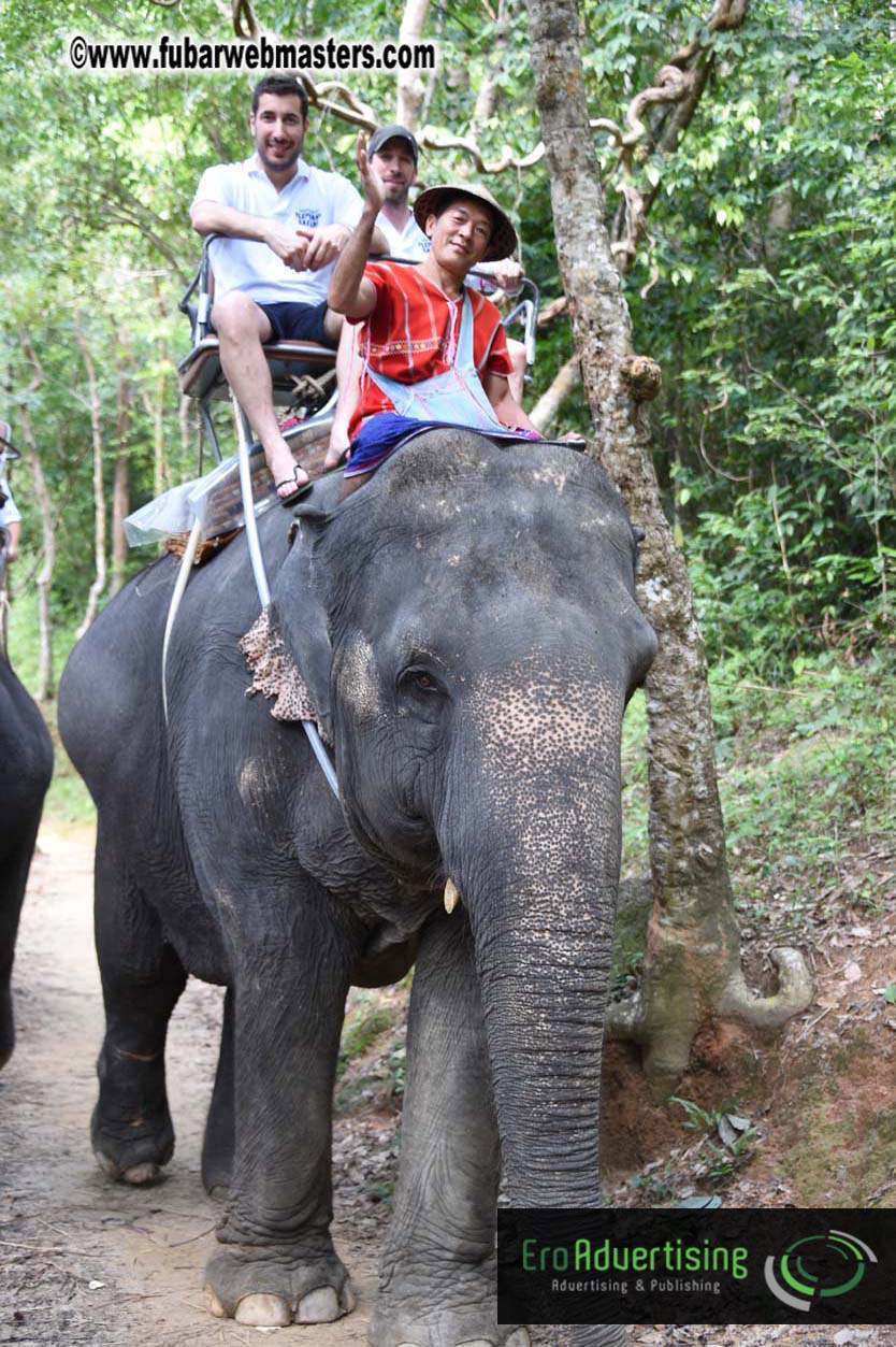 Elephant Safari 