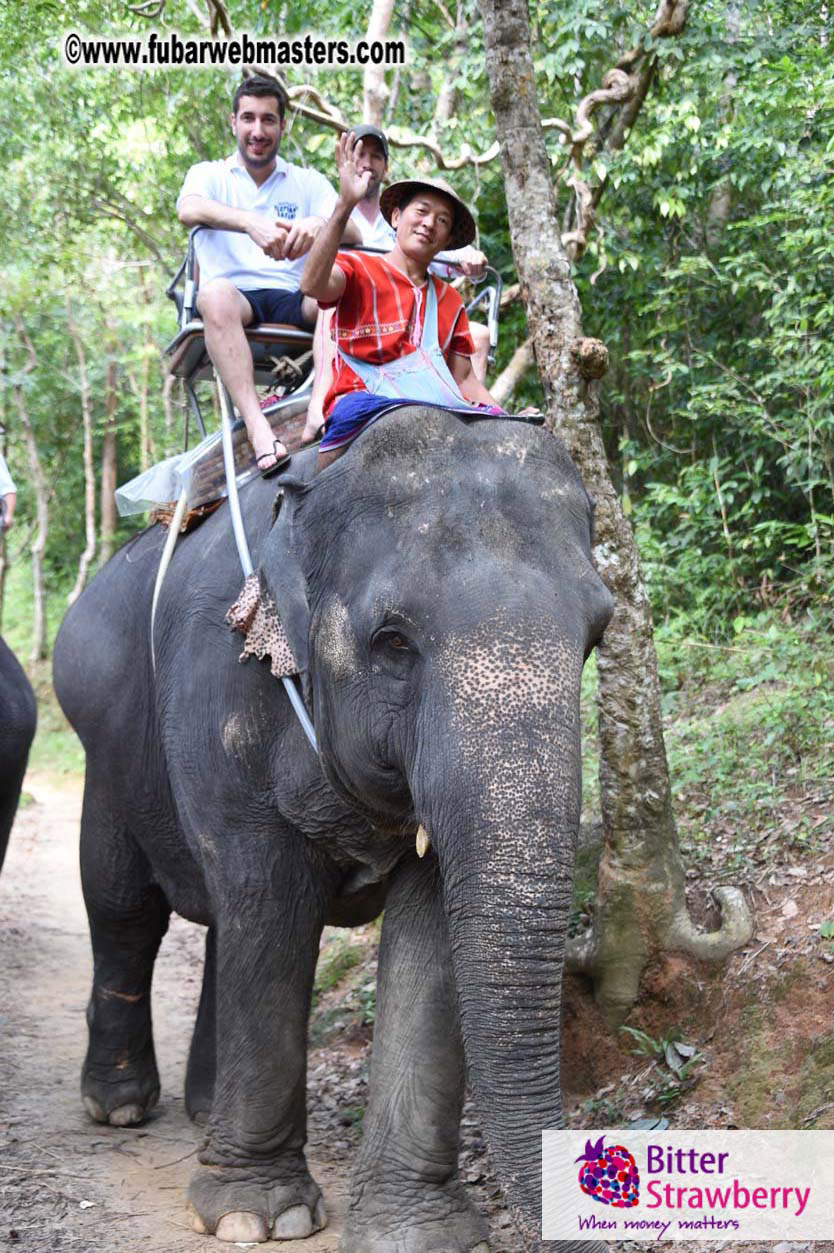 Elephant Safari 