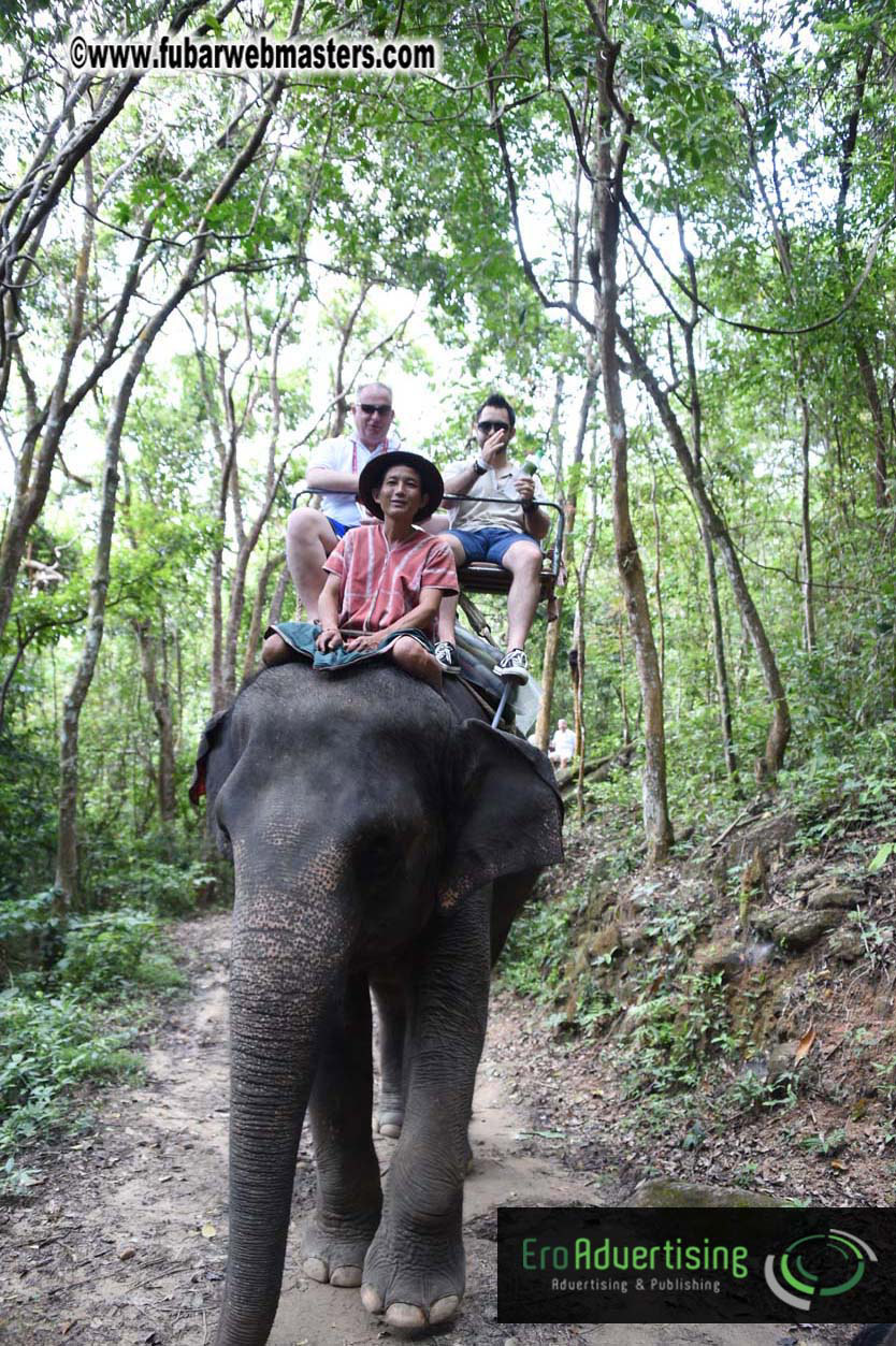 Elephant Safari 