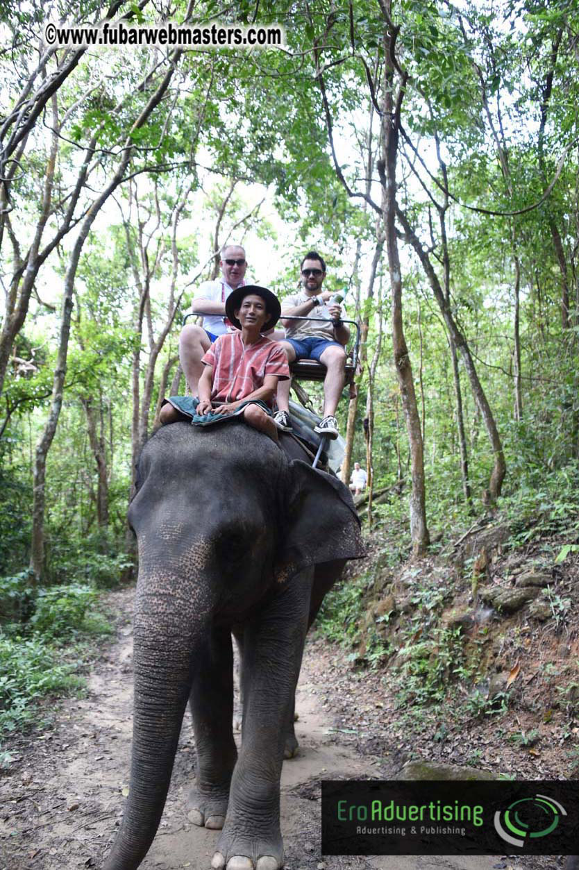 Elephant Safari 