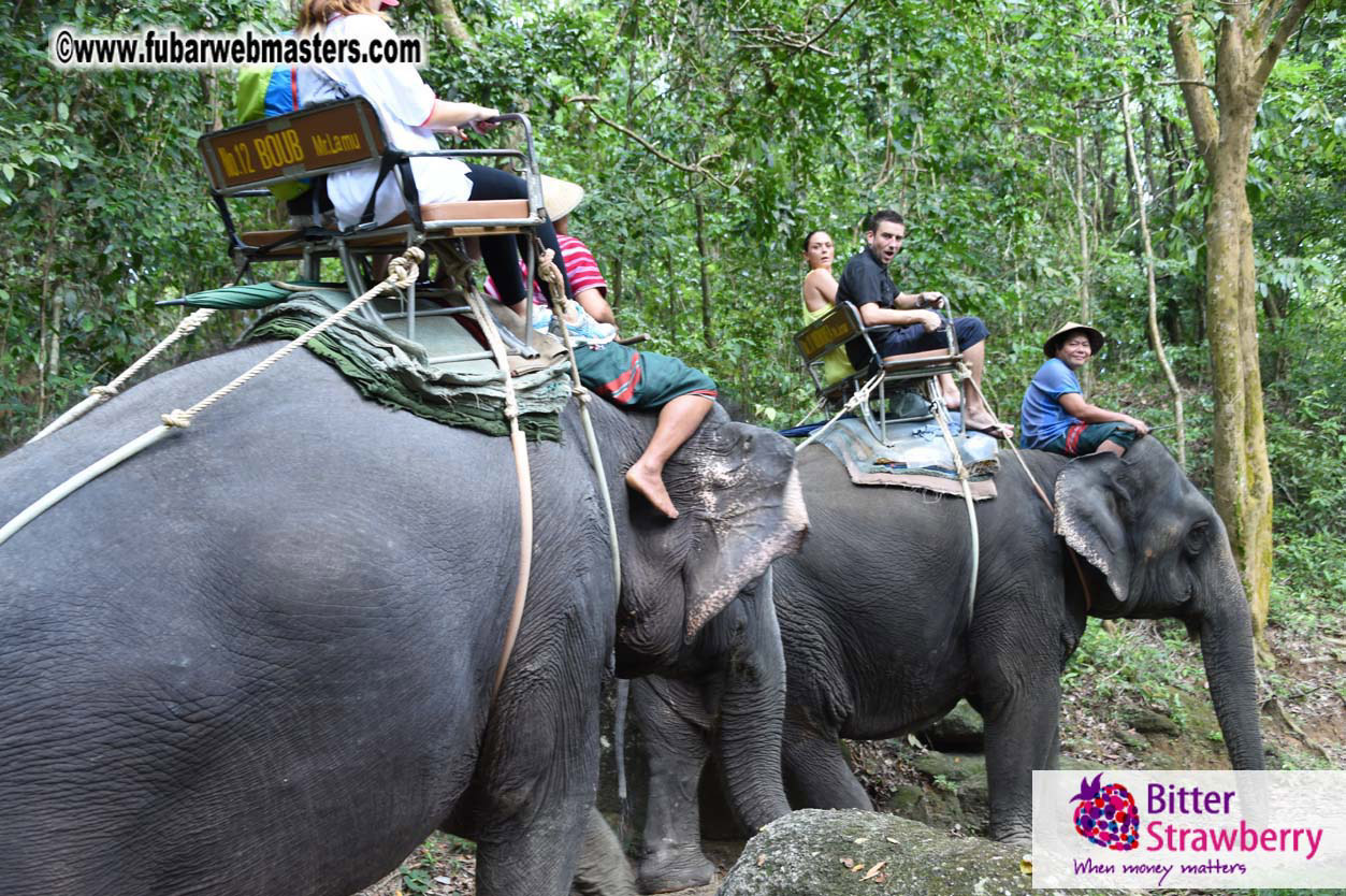 Elephant Safari 