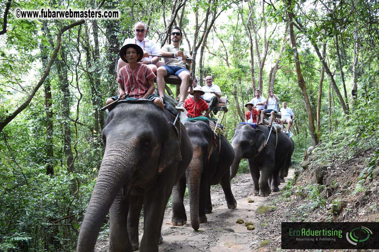 Elephant Safari 