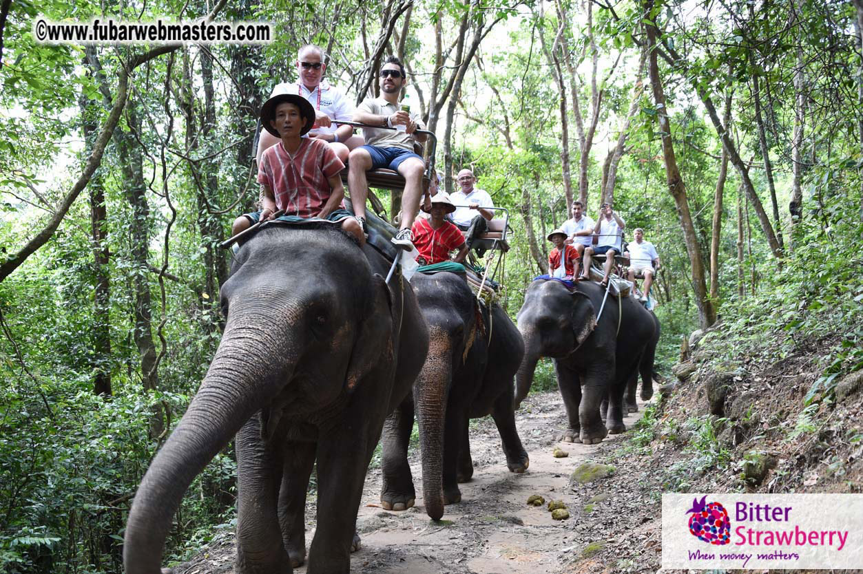 Elephant Safari 