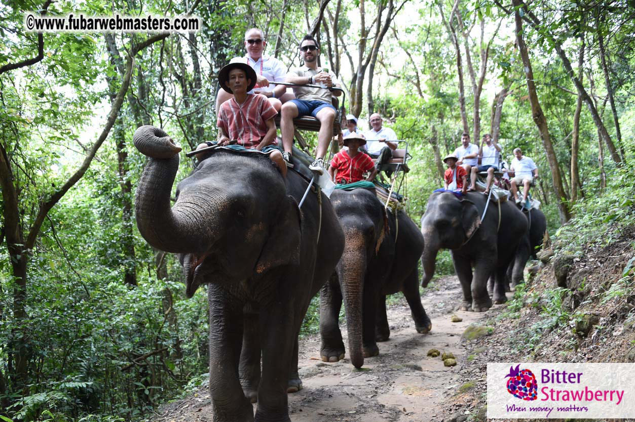 Elephant Safari 