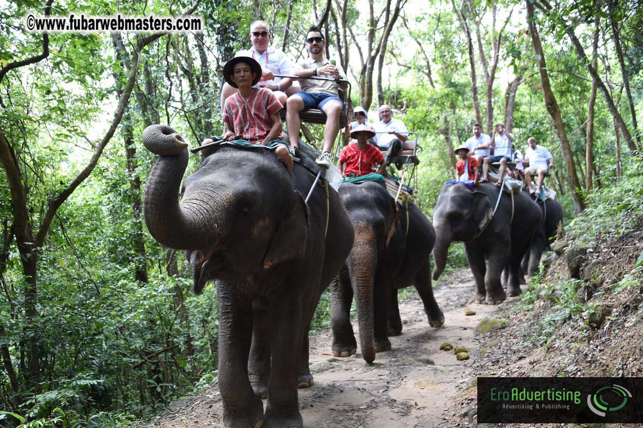 Elephant Safari 