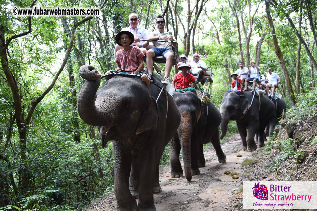 Elephant Safari 