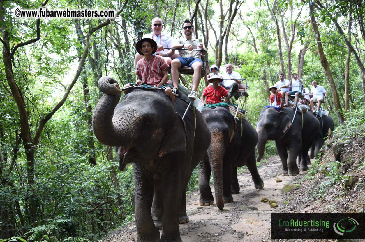 Elephant Safari 