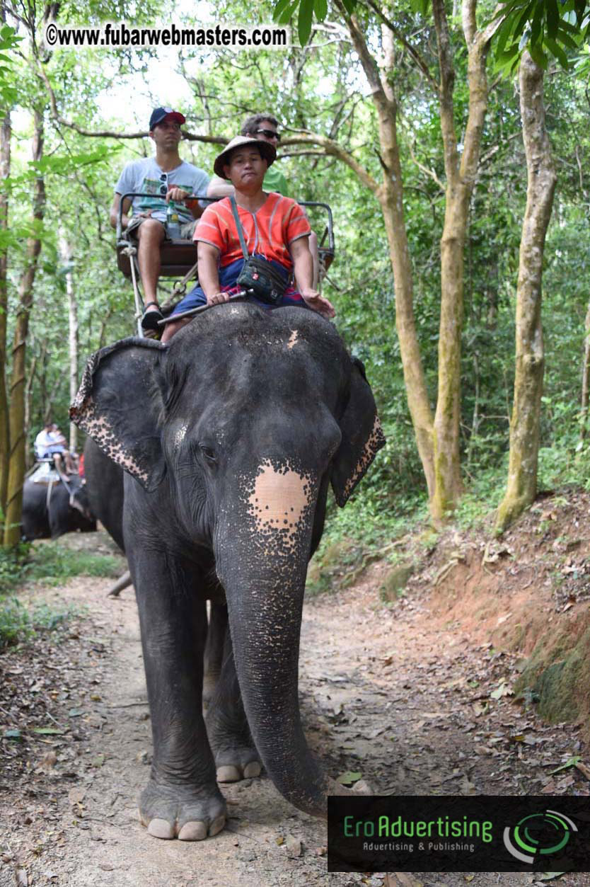 Elephant Safari 