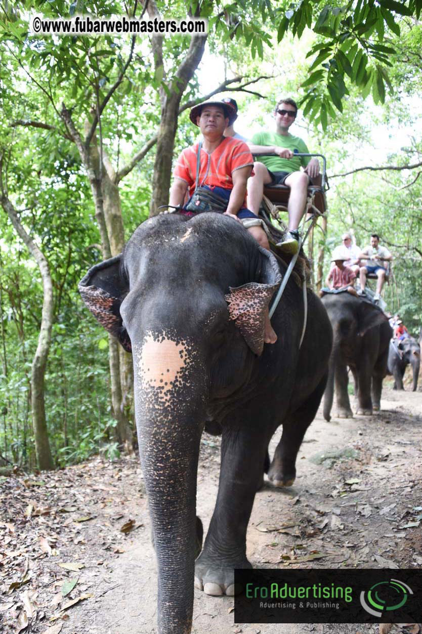 Elephant Safari 