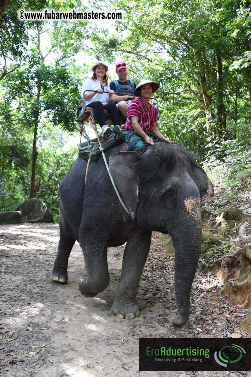 Elephant Safari 