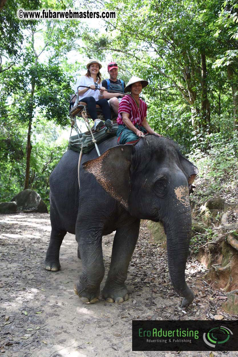 Elephant Safari 