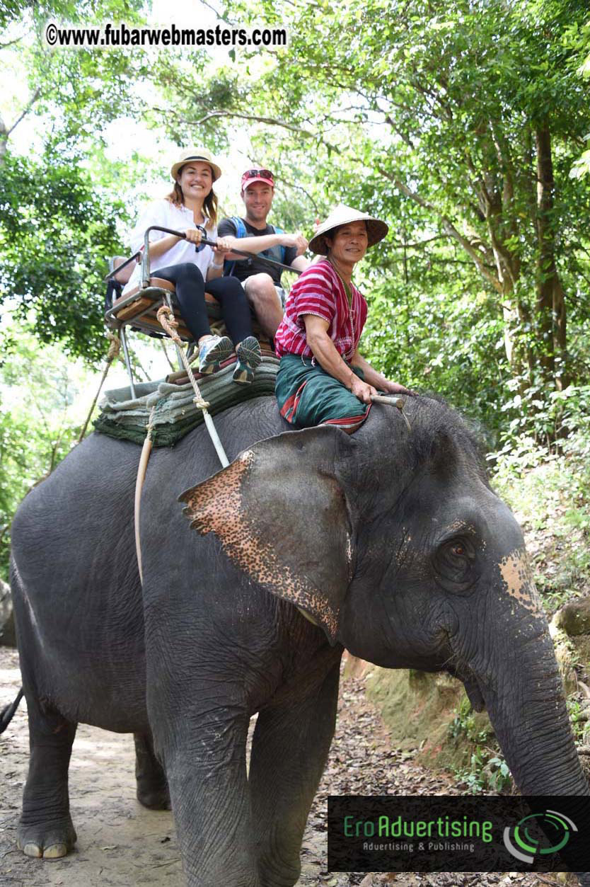 Elephant Safari 