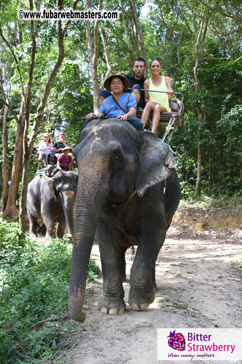 Elephant Safari 