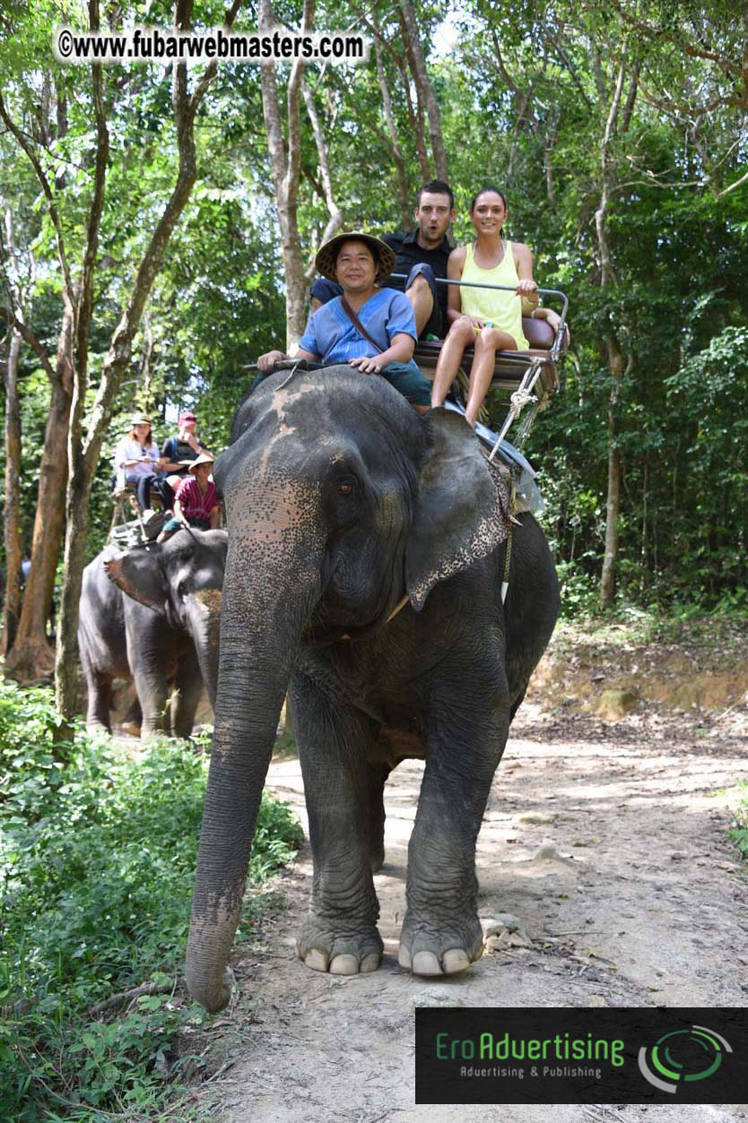 Elephant Safari 