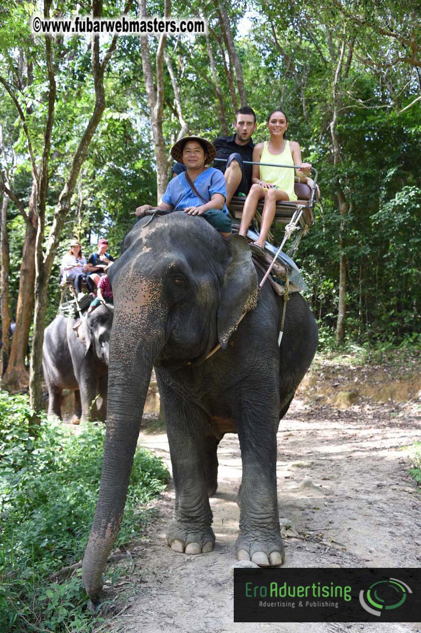 Elephant Safari 