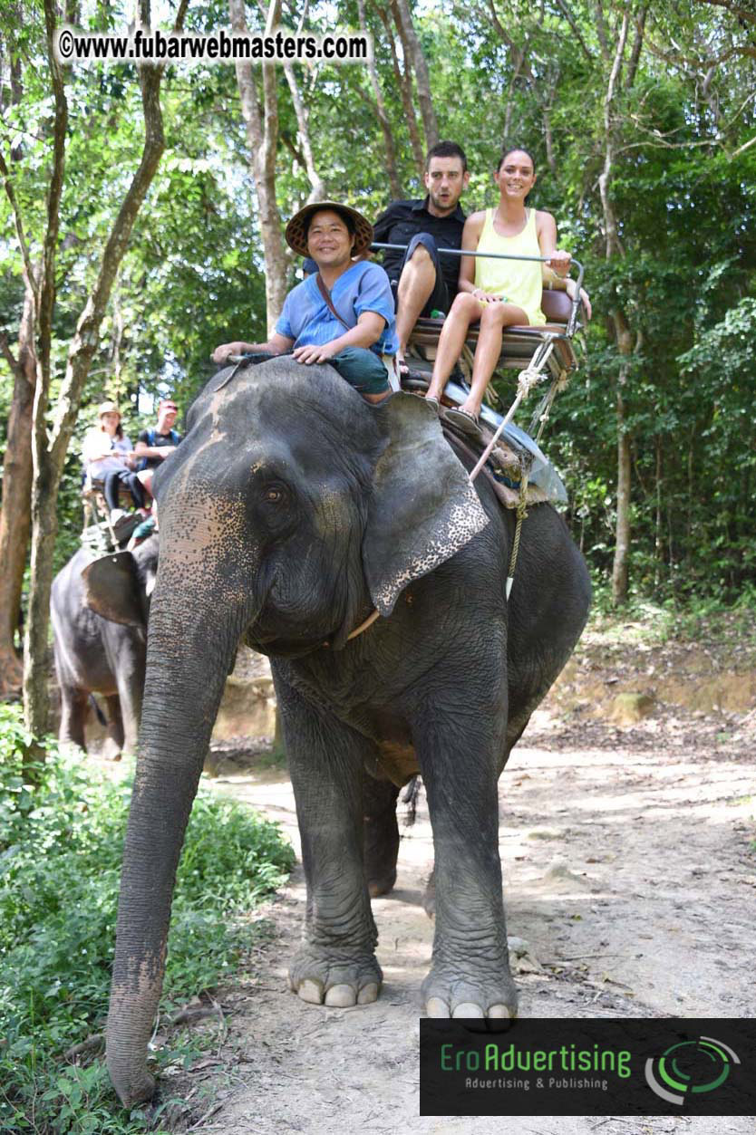 Elephant Safari 