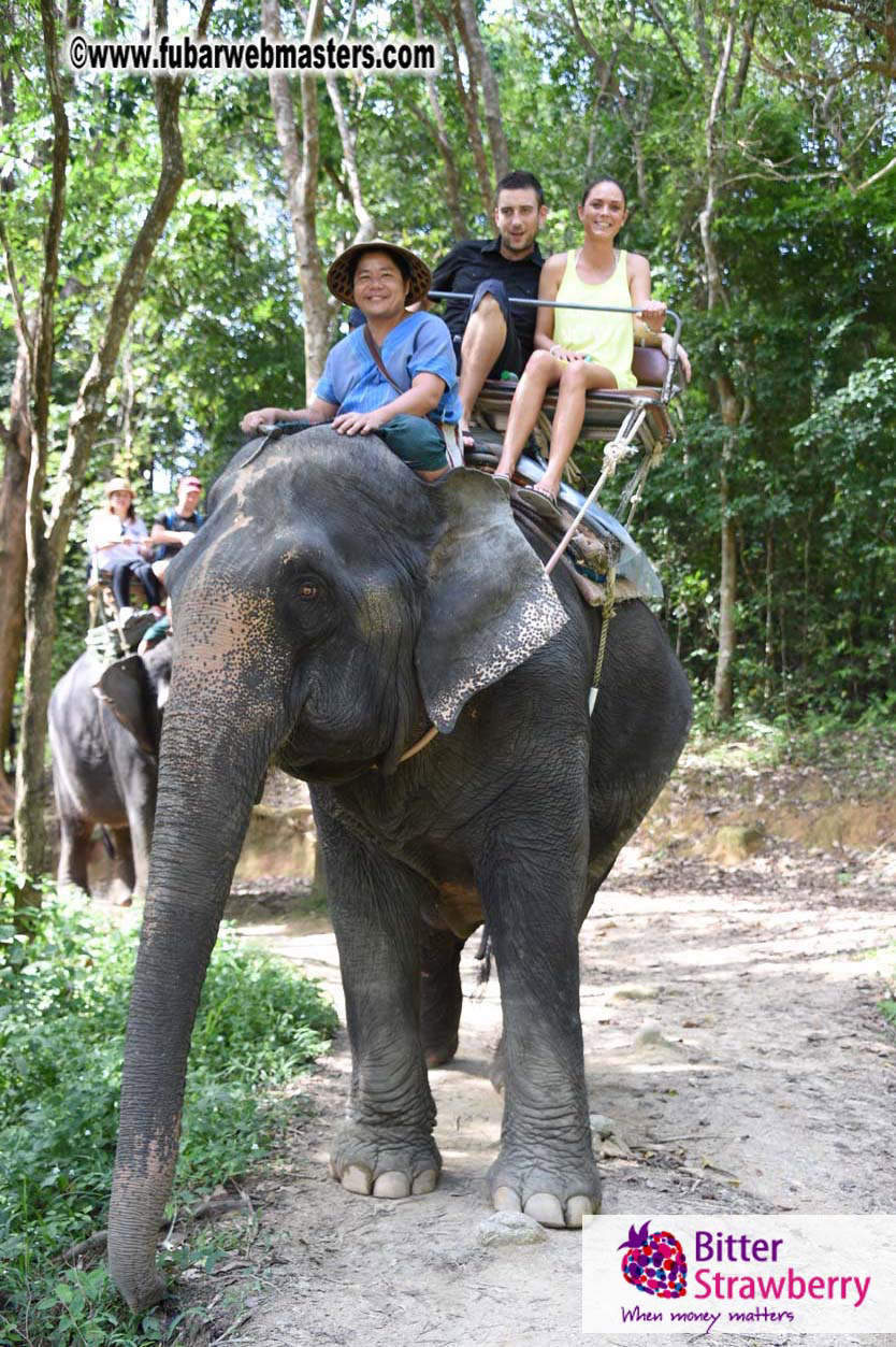 Elephant Safari 