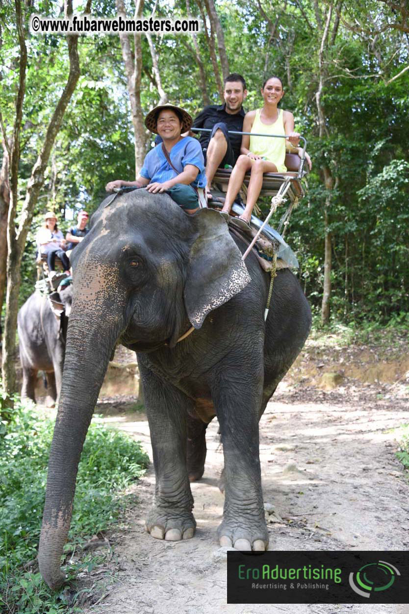 Elephant Safari 