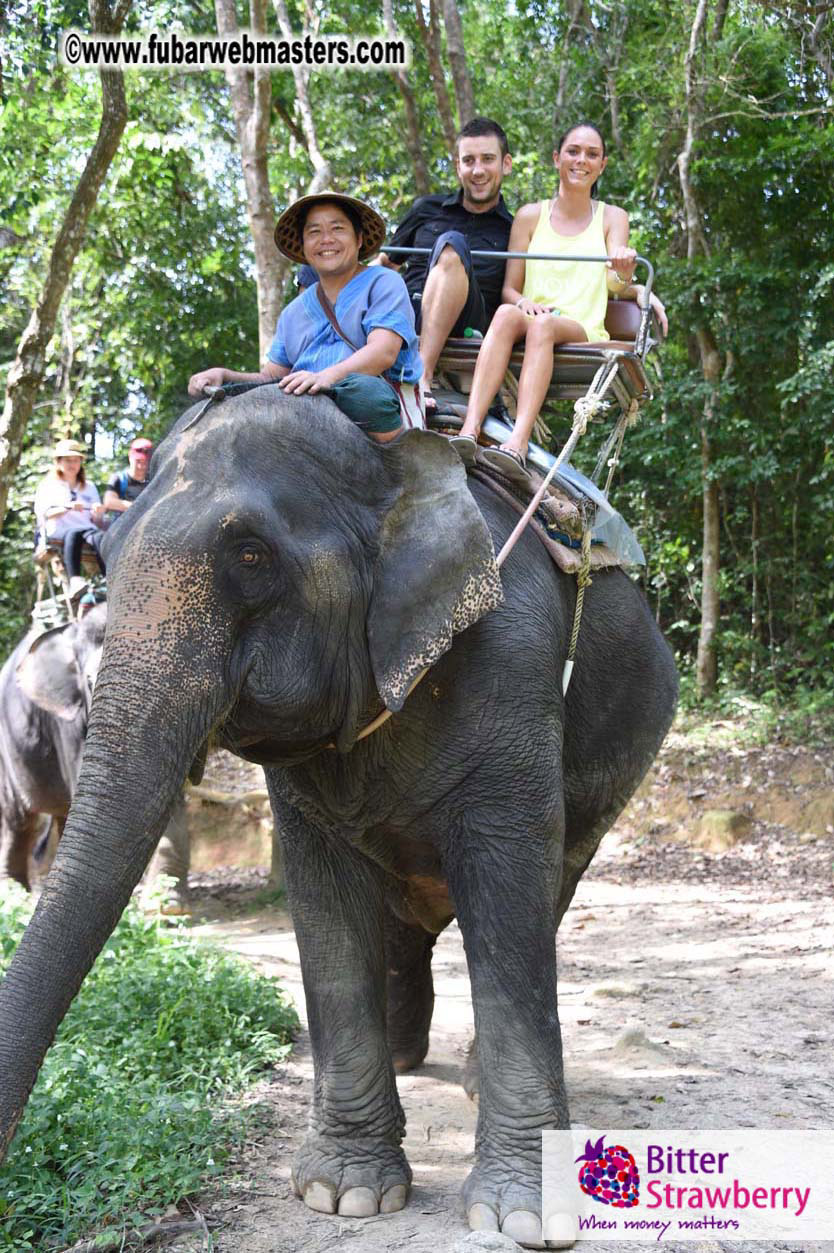 Elephant Safari 