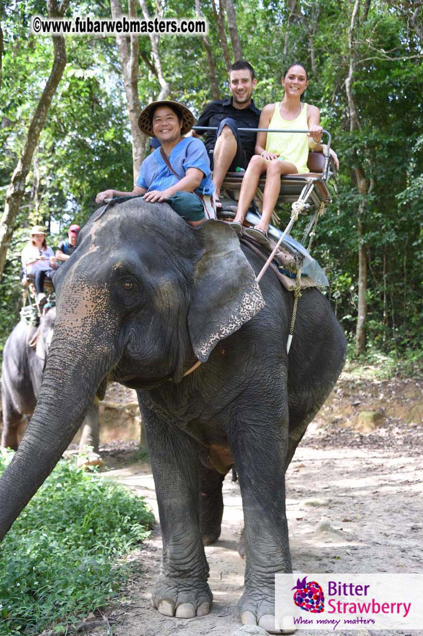 Elephant Safari 