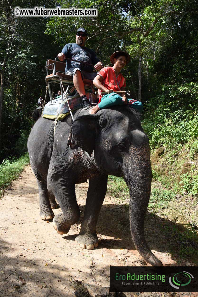 Elephant Safari 