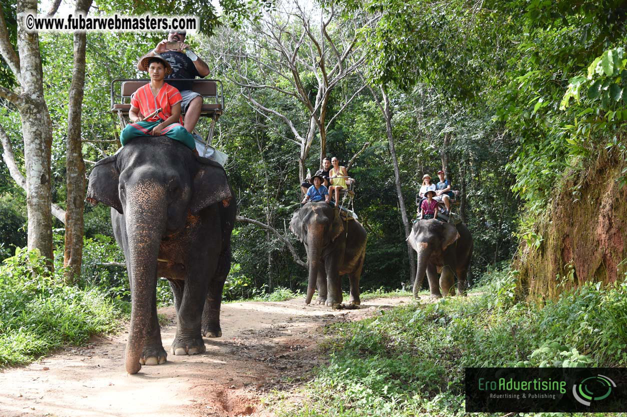 Elephant Safari 