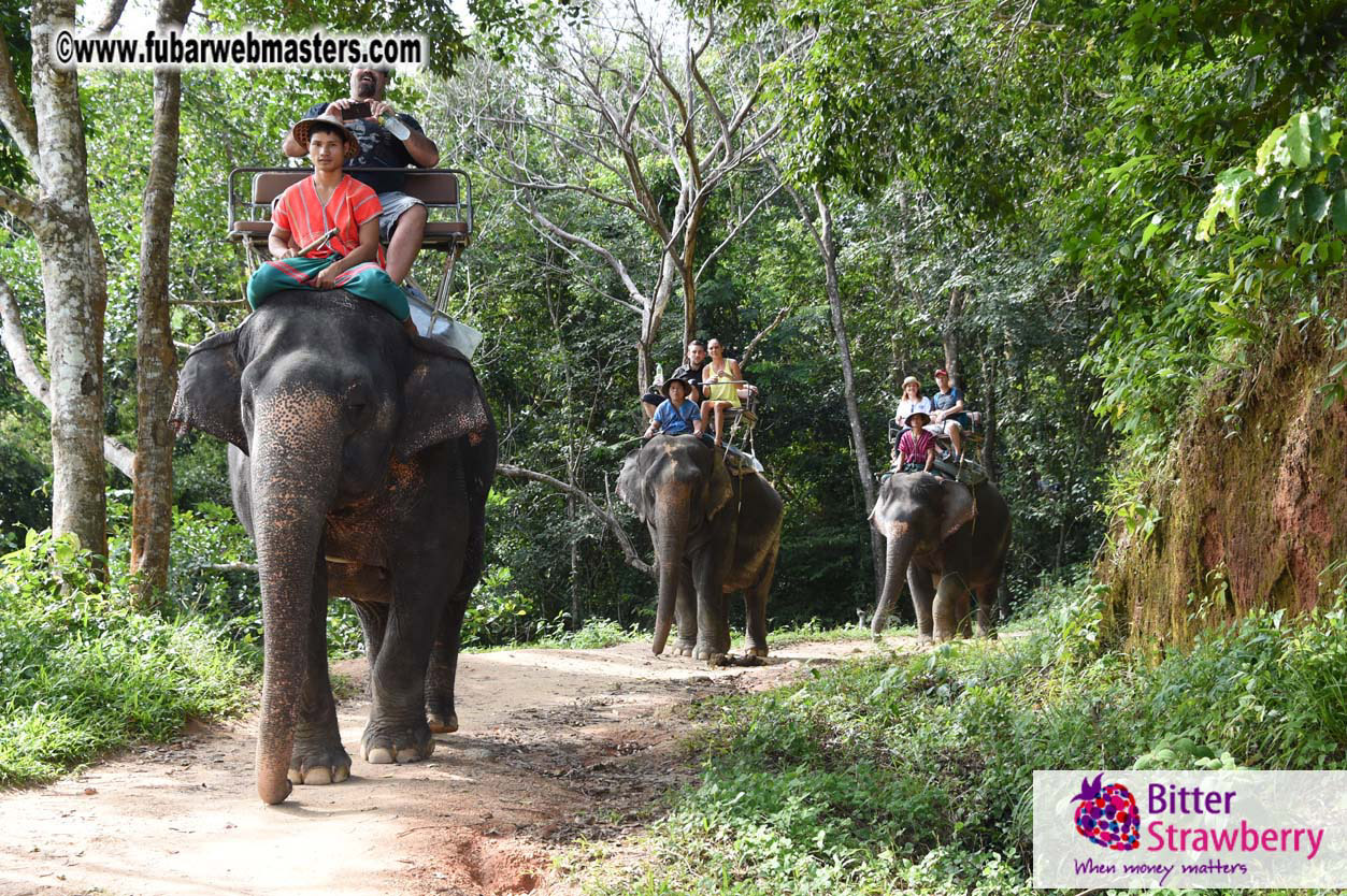 Elephant Safari 