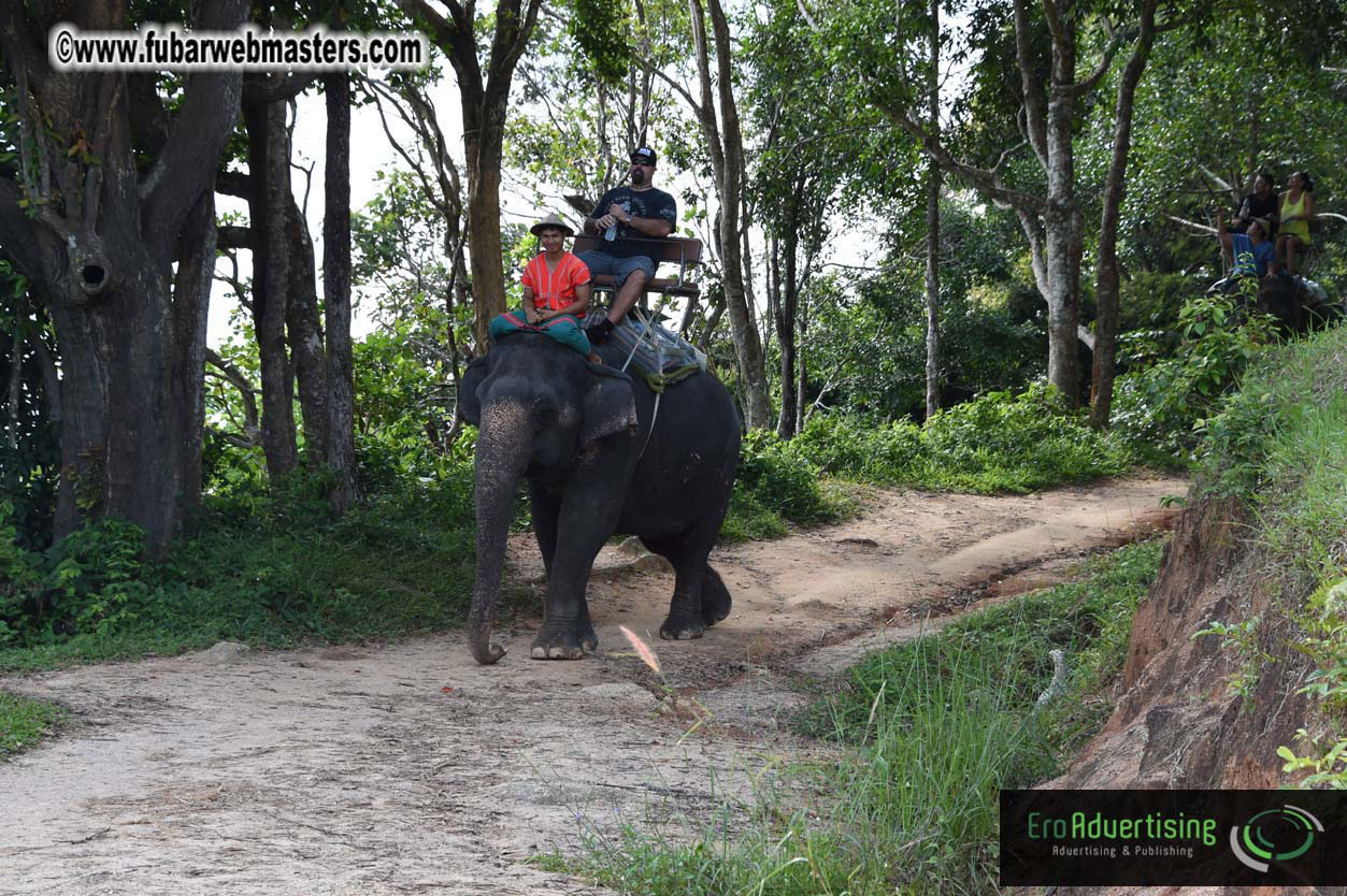 Elephant Safari 