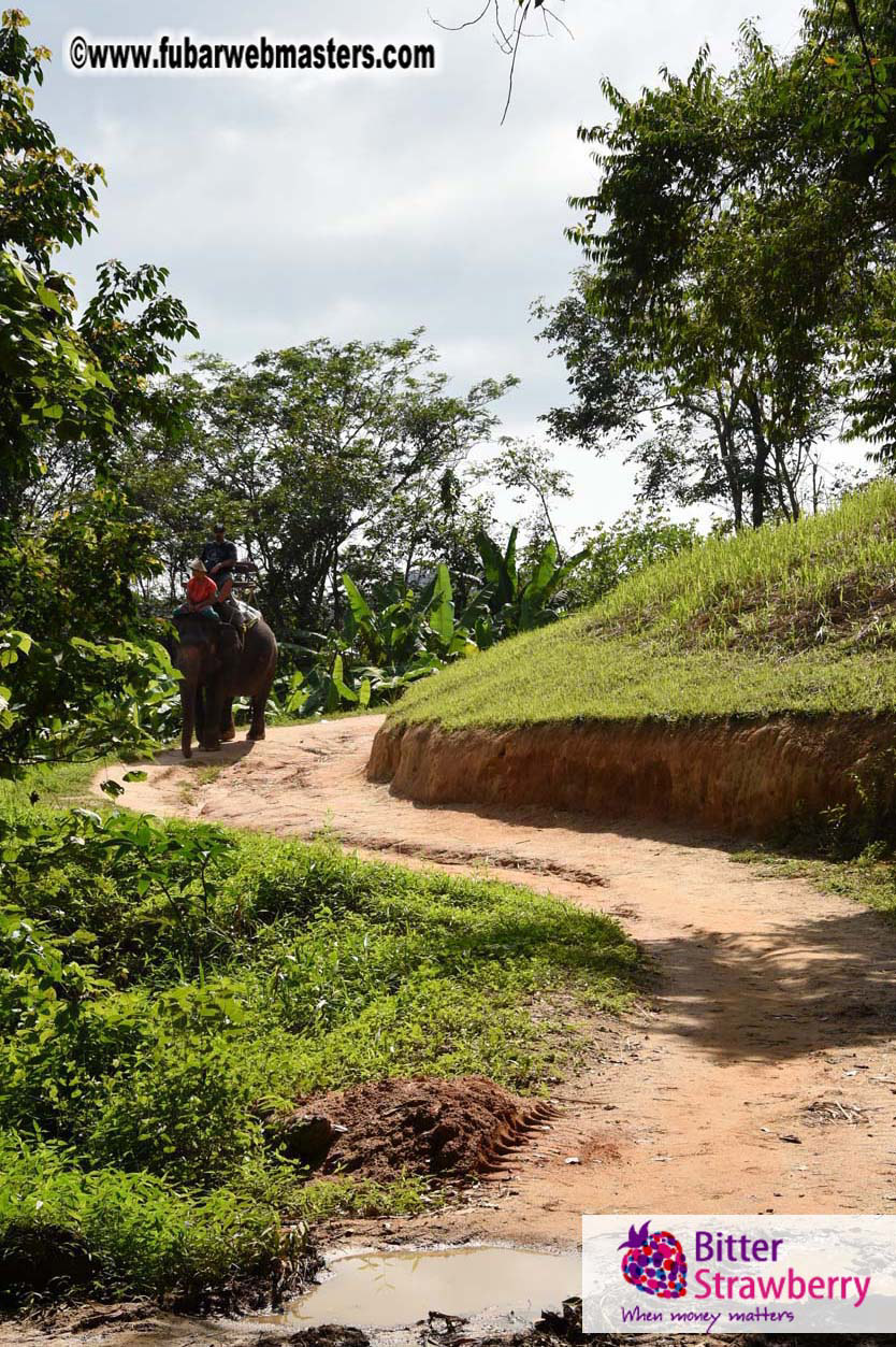 Elephant Safari 