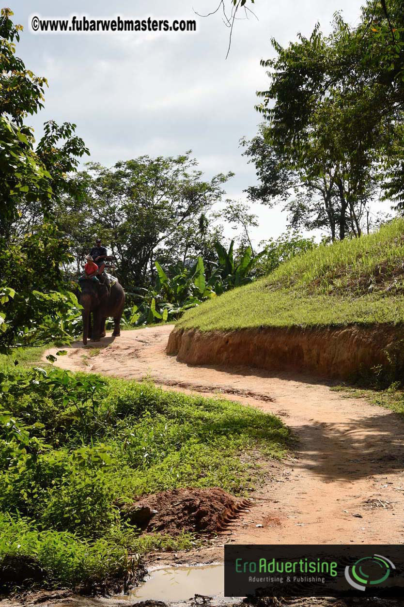 Elephant Safari 