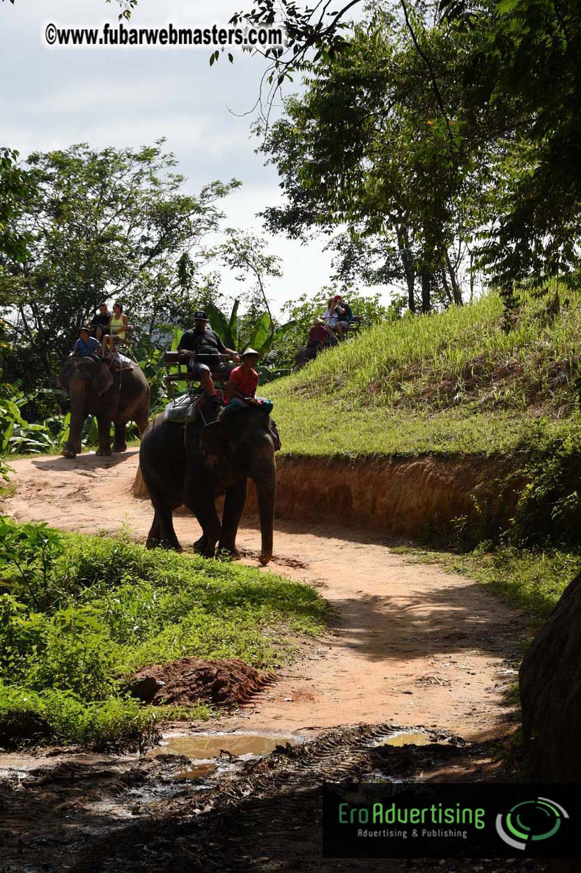 Elephant Safari 