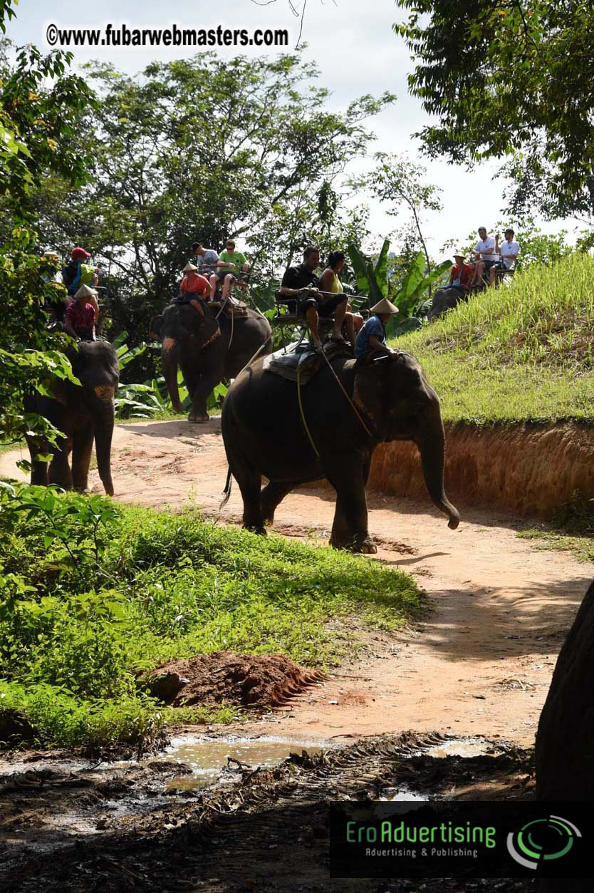 Elephant Safari 