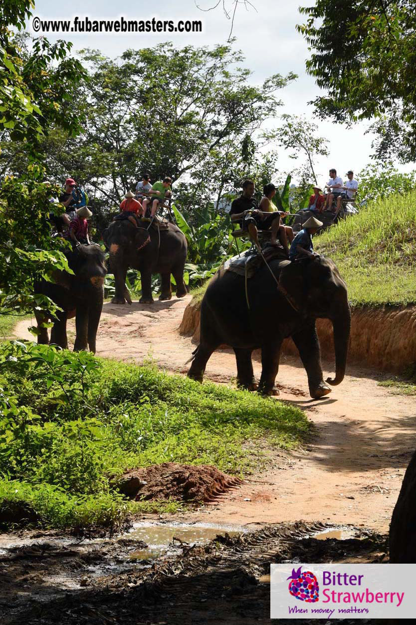 Elephant Safari 