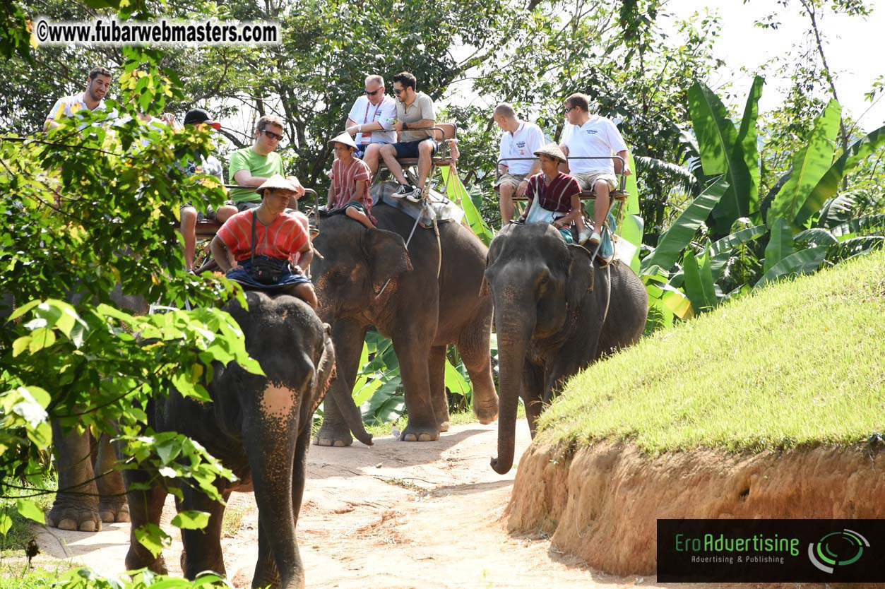 Elephant Safari 