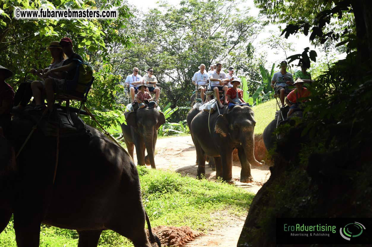 Elephant Safari 