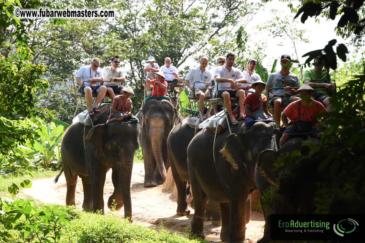 Elephant Safari 