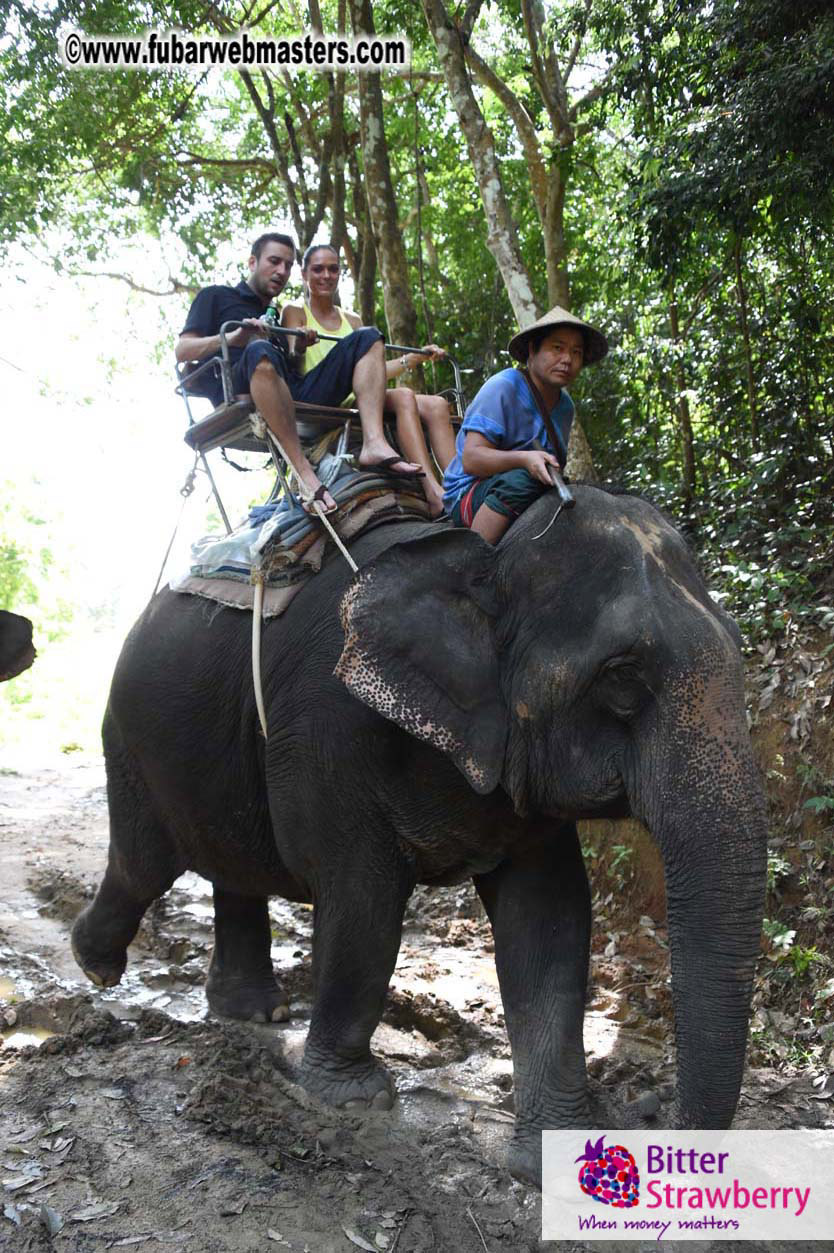 Elephant Safari 