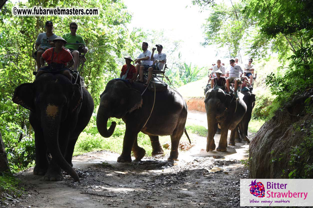 Elephant Safari 