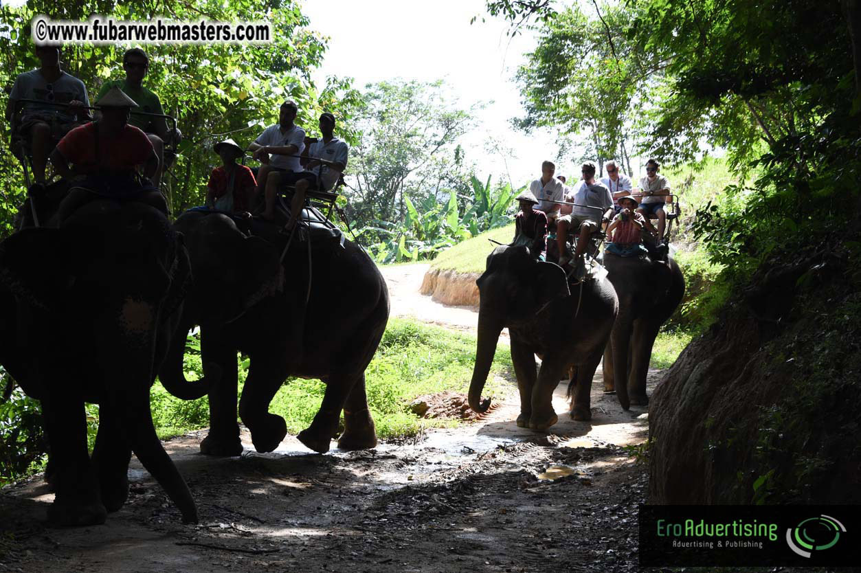 Elephant Safari 