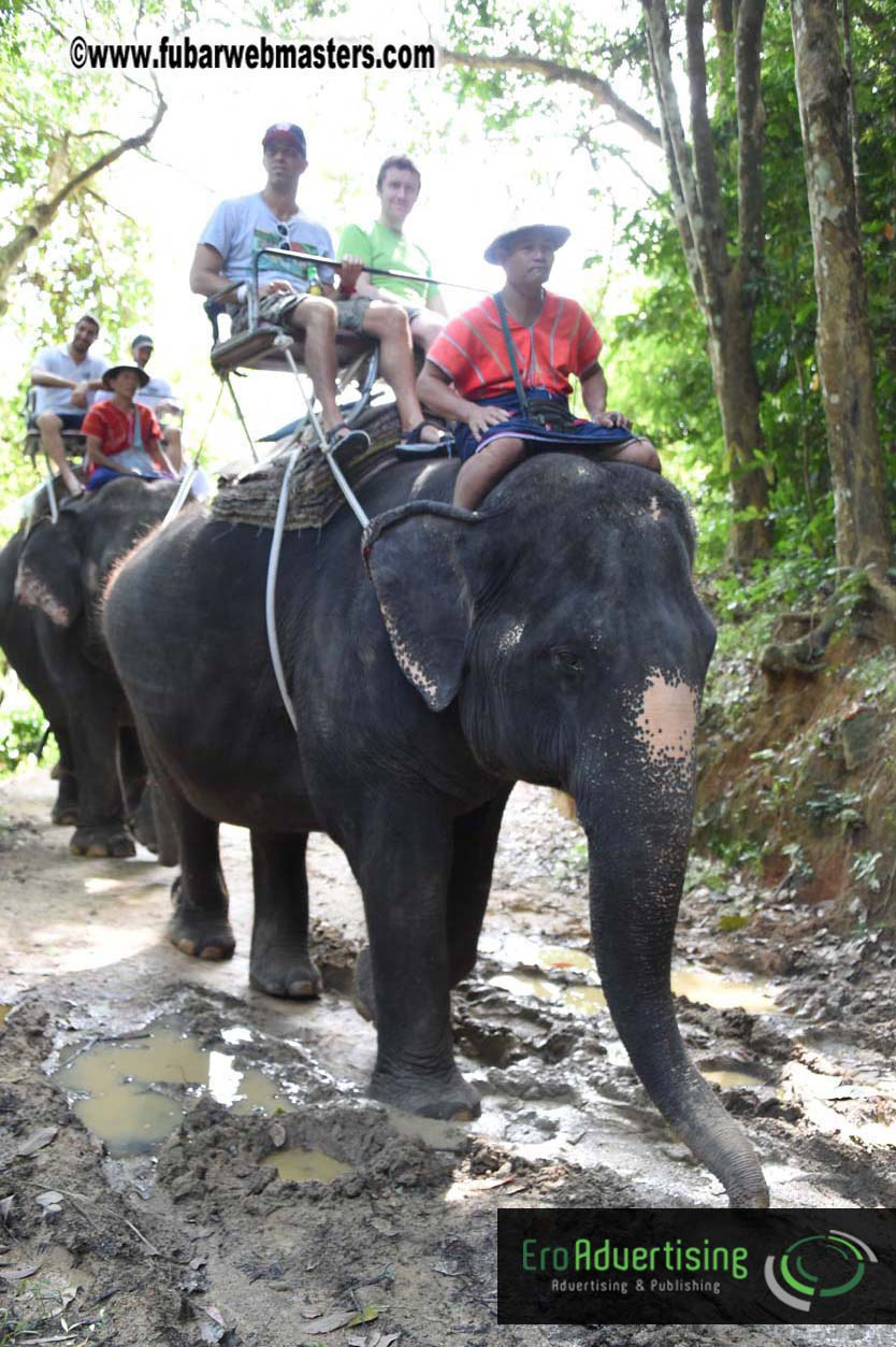 Elephant Safari 