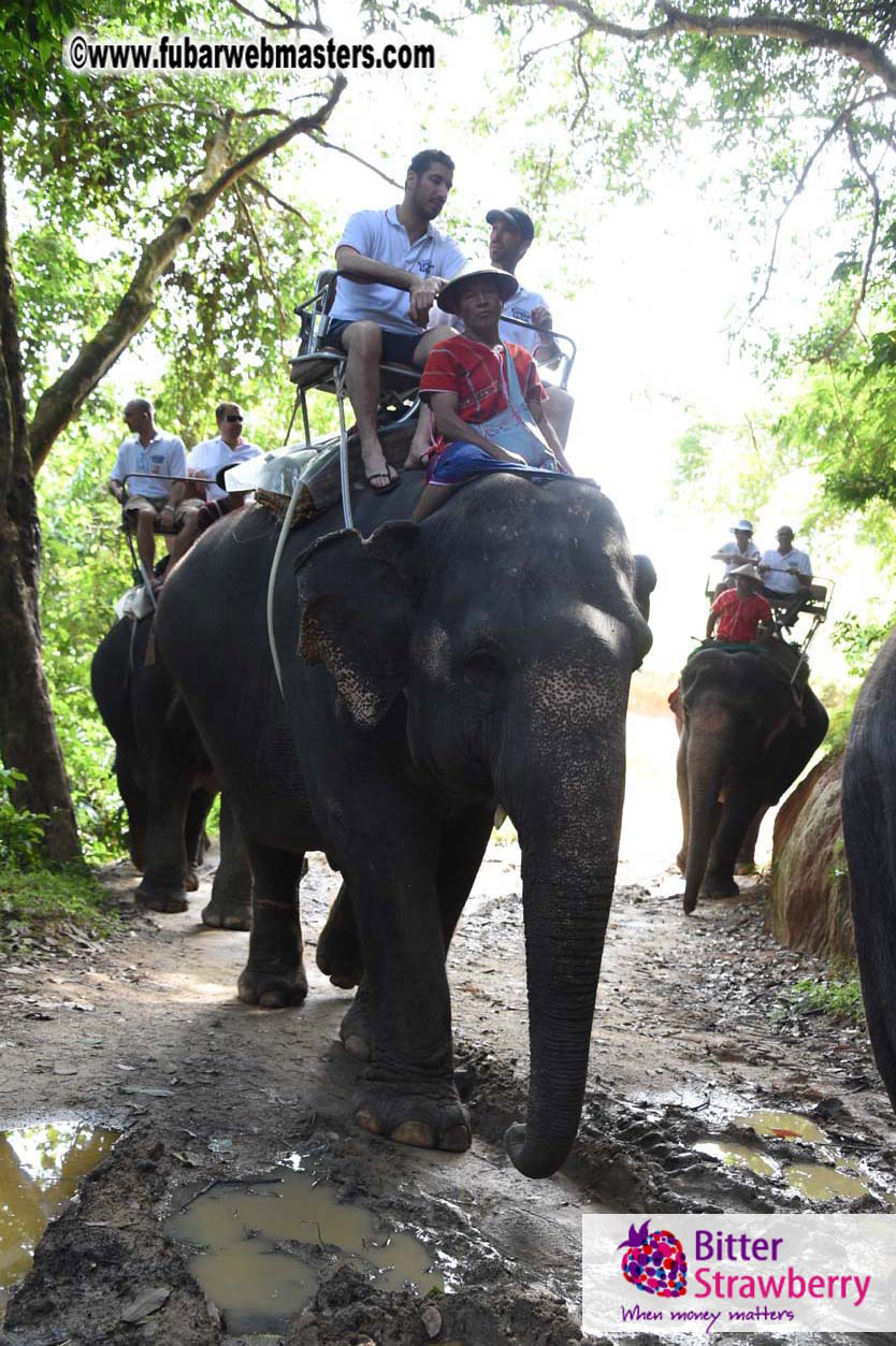 Elephant Safari 