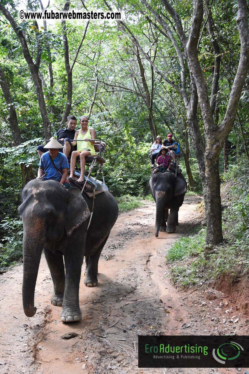 Elephant Safari 