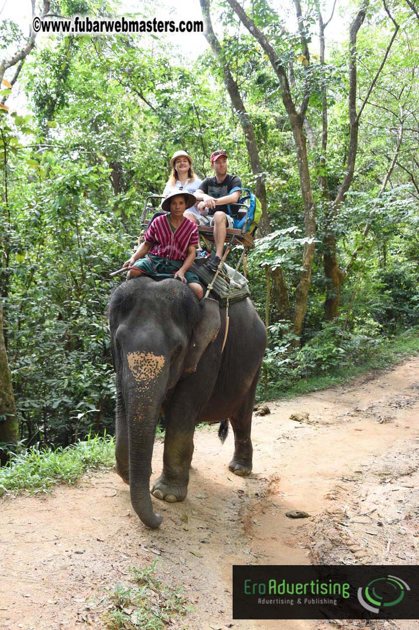 Elephant Safari 