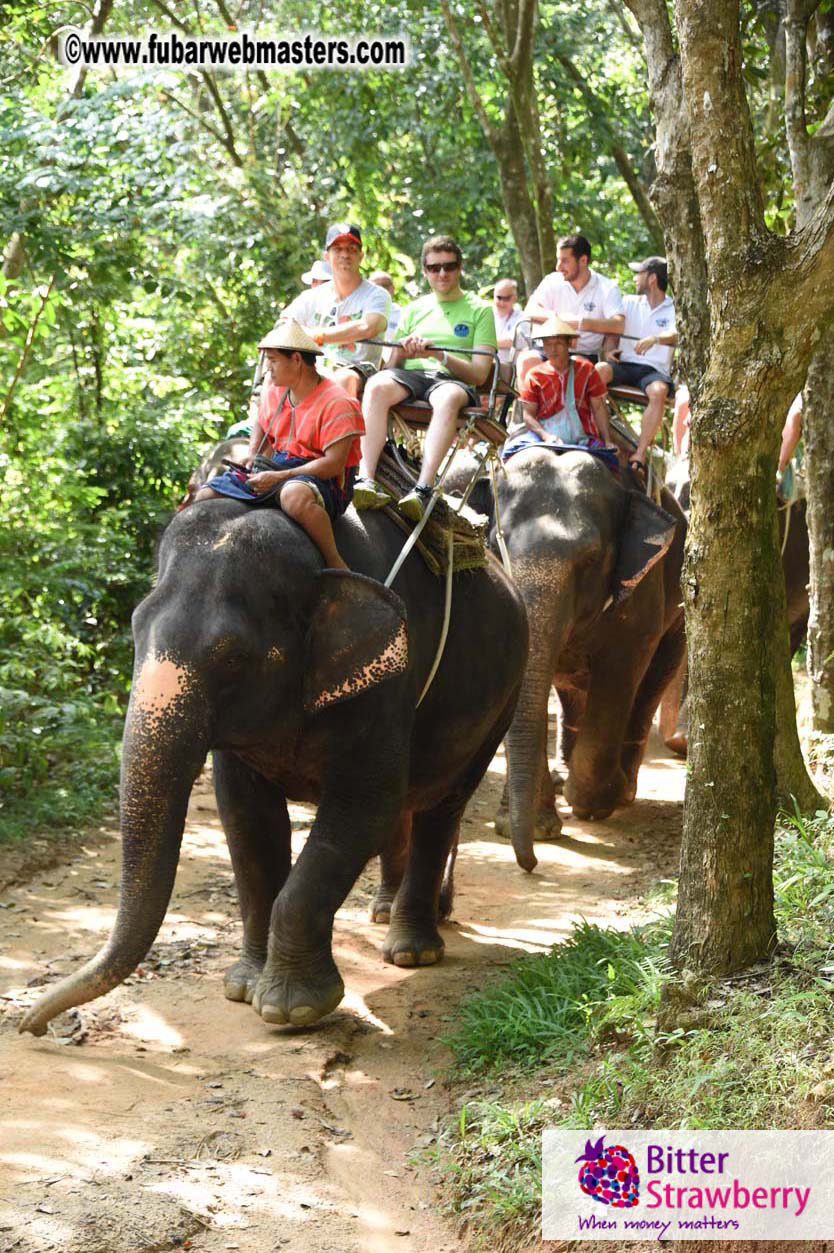 Elephant Safari 